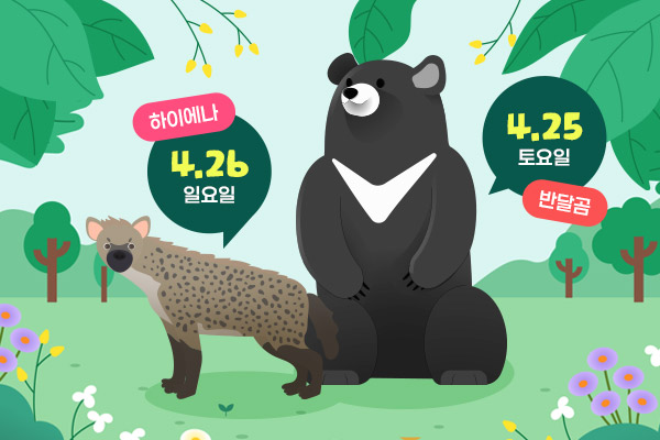 반달곰 구조 1주년 & 국제 하이에나의 날 기념 행동풍부화 프로그램