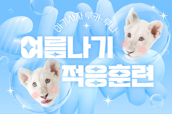 아기사자 루카,루나 여름나기 적응훈련