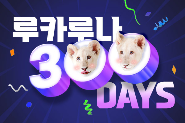 루카루나 300일 이벤트