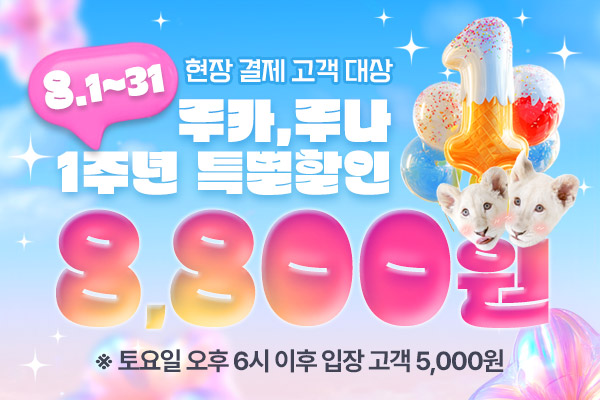 루카루나 1주년 기념 특별할인!