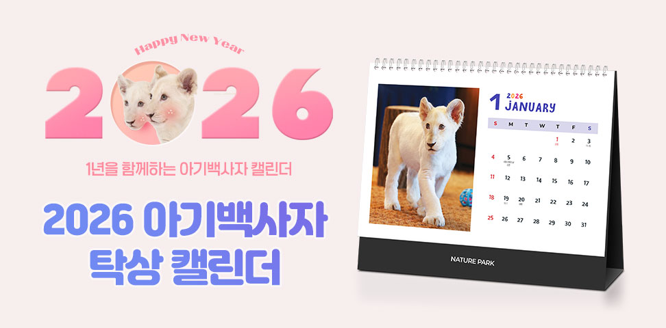 2026 아기백사자 탁상 캘린더