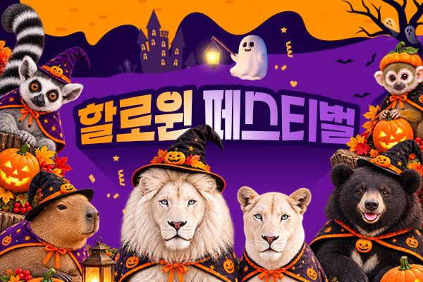 할로윈 페스티벌